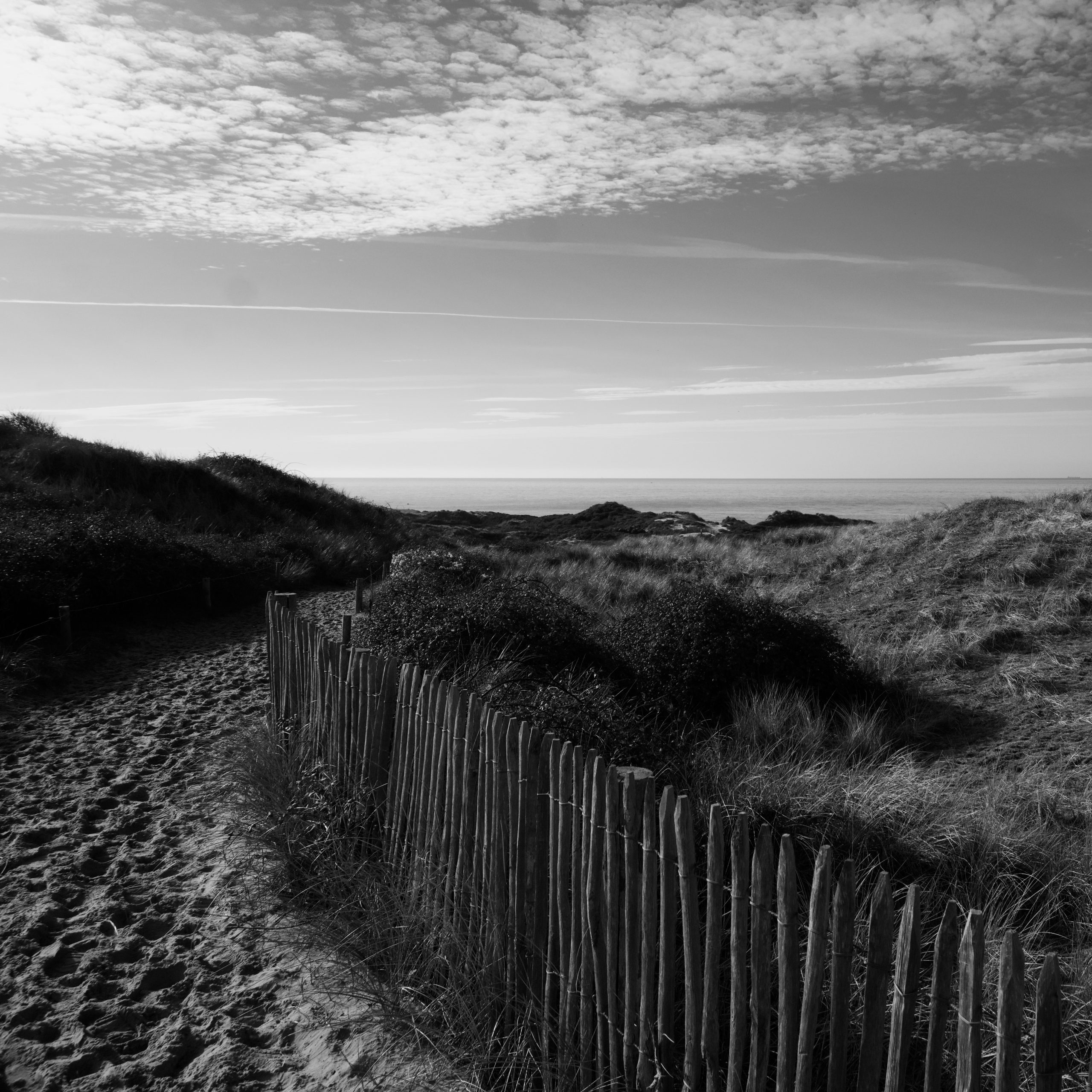 Chemin de sable dans les dunes menant à la mer
